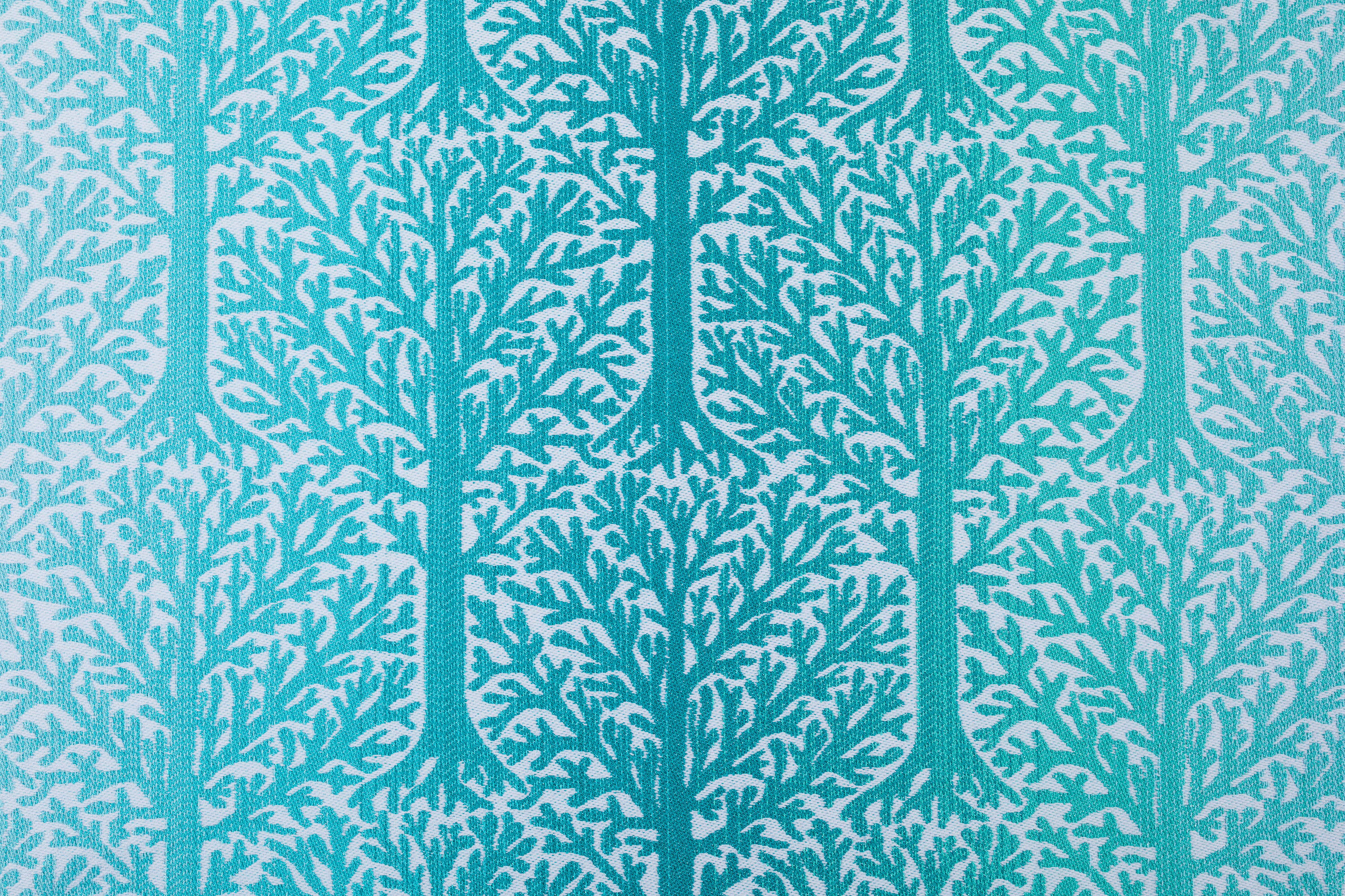 WOODLAND - FROST